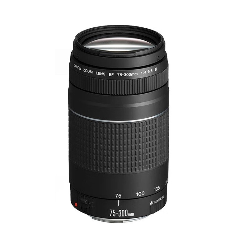 佳能  EF 75-300mm F4-5.6 I/II/III/USM I/USM II/USM III/IS 七款镜头