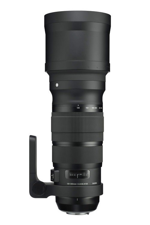 适马 120-300mm F2.8 DG OS HSM | Sports